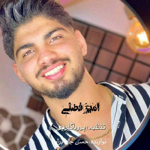 امیر فضلی دونه دونه